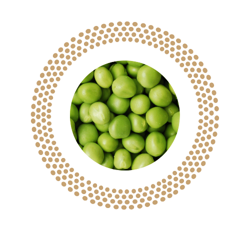 Couscous Al Naturale Bio Piselli